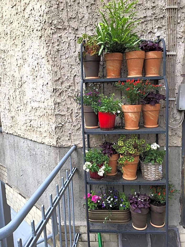 Hotel Elba am Kurfürstendamm - Design Chambers