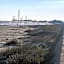 Wingate by Wyndham Galveston East Beach