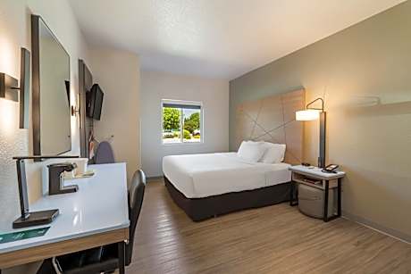 Triple Room - Non Smoking