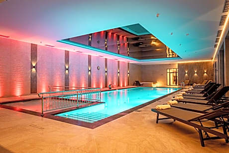 Hotel Pałac Poledno