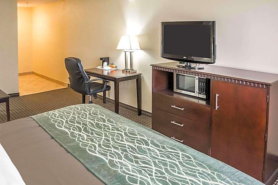 Econo Lodge Inn & Suites Monroe
