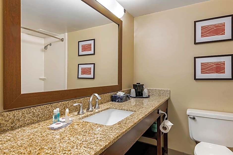 Comfort Inn MSP Airport - Mall of America