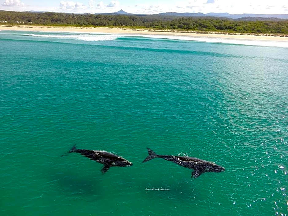 Holiday Haven Burrill Lake