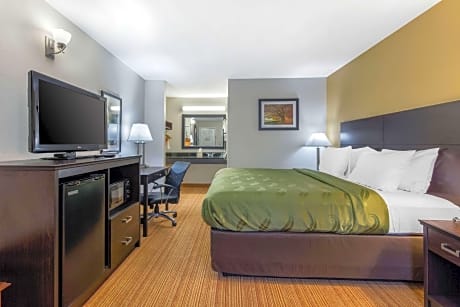 1 King Bed, Nonsmoking, Accessible