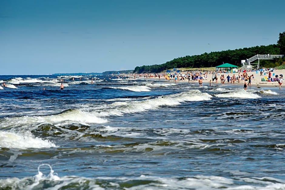 Wrzosowa Polana - domki letniskowe