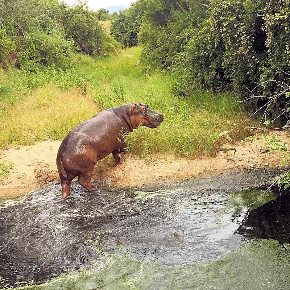 Mabata Makali Luxury Tented Camp