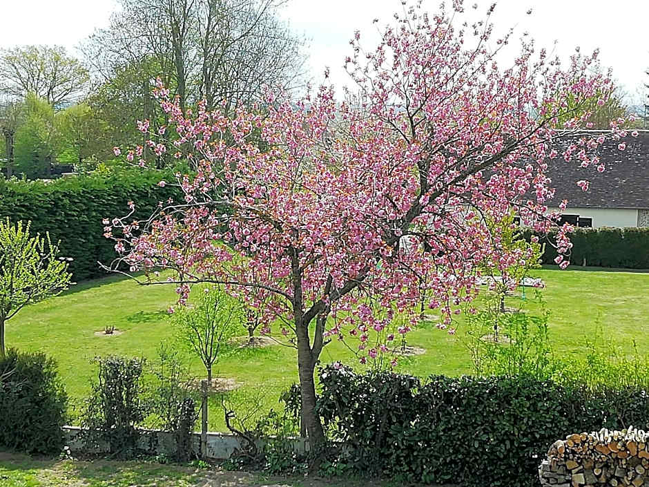 Villa Maëlla en Normandie- chambres tout confort - SPA