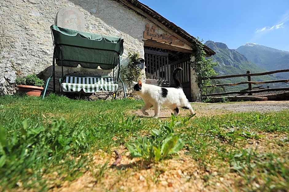 B&B Rocca di Bajedo