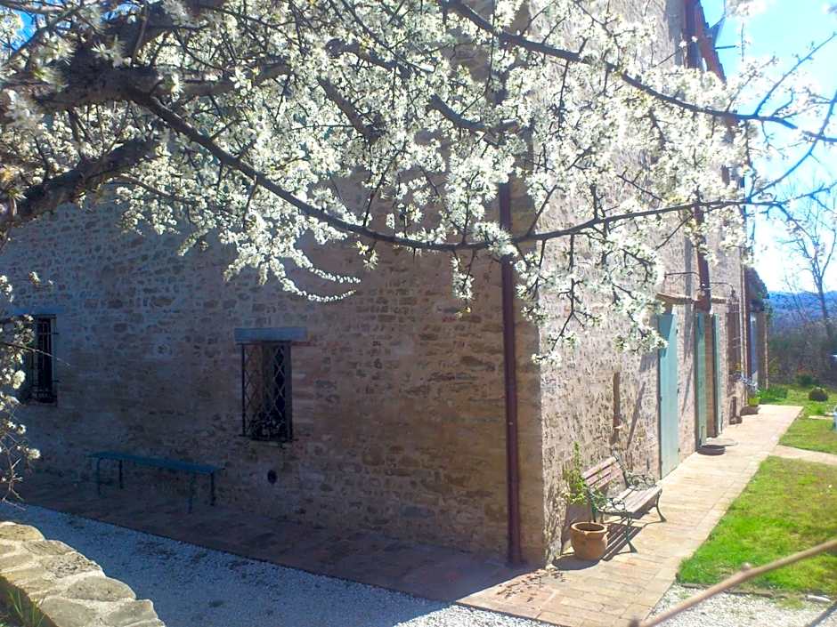 Poggio Dei Prugnoli