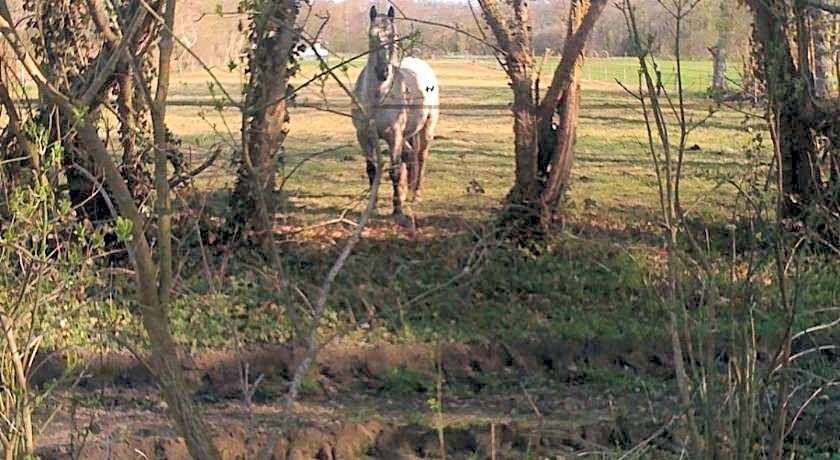 Les Trauchandieres de Saint Malo