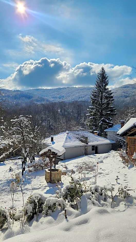 Little River Guest House