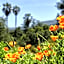 Canoga Hotel At Warner Center