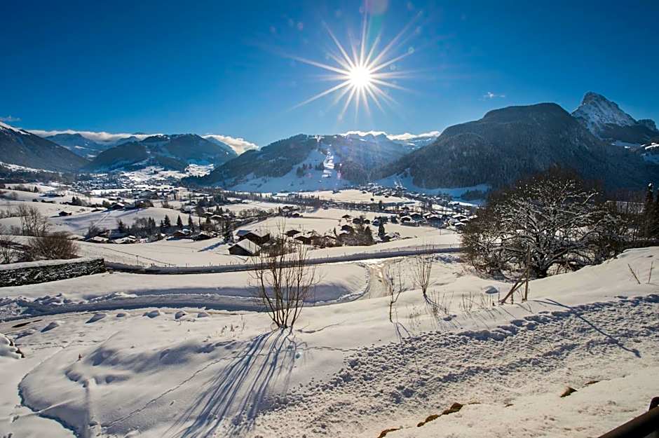 Hotel Le Grand Chalet Gstaad