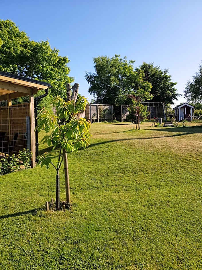 Vare 4 vandrarhem AB