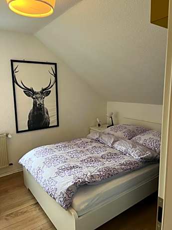 Single Room with Private Bathroom