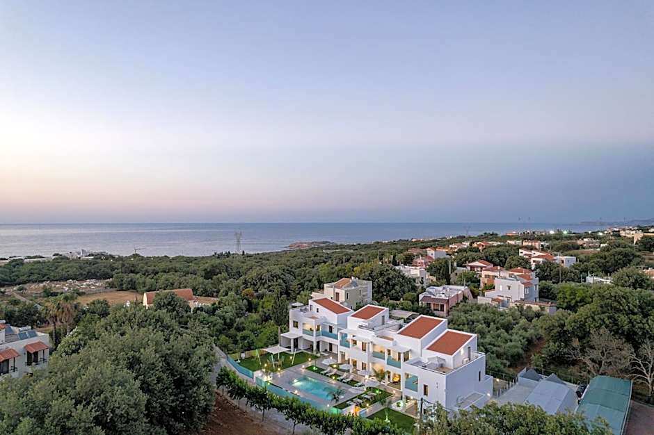 Coconut Palm Paradise