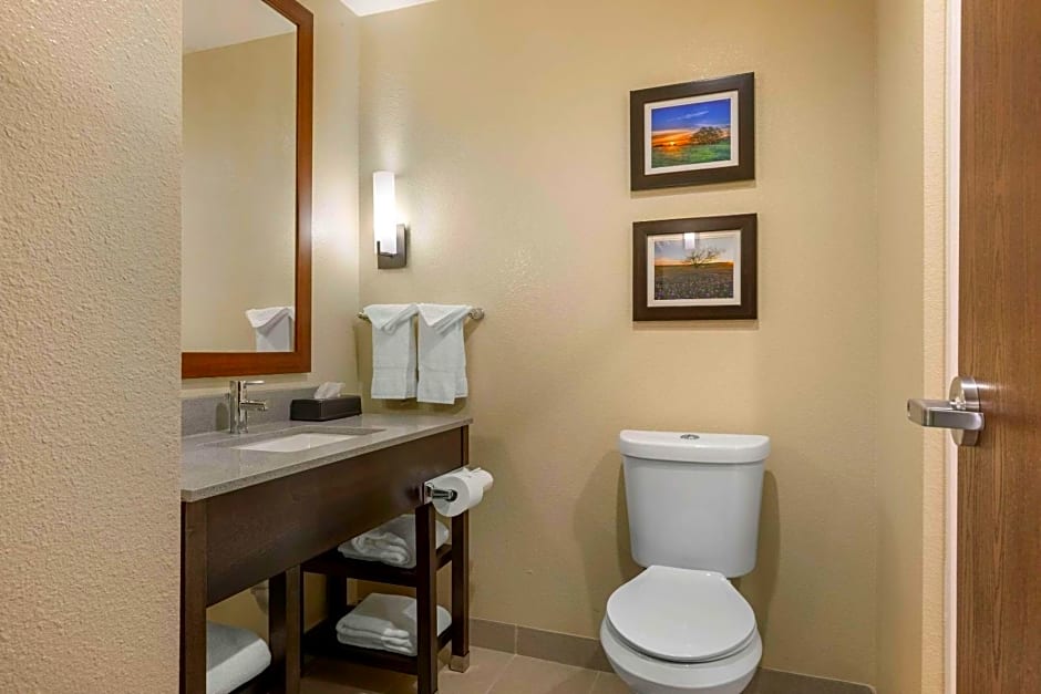 Comfort Inn & Suites Euless DFW West