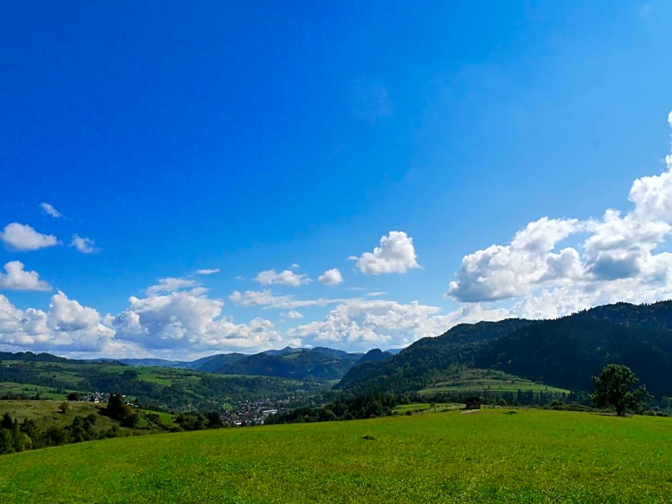 Chatki Niwki u Zbója