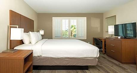 King Suite with Sofa Bed