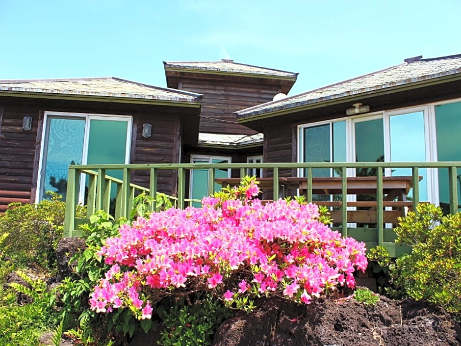 Visbyjeju&palmvillage