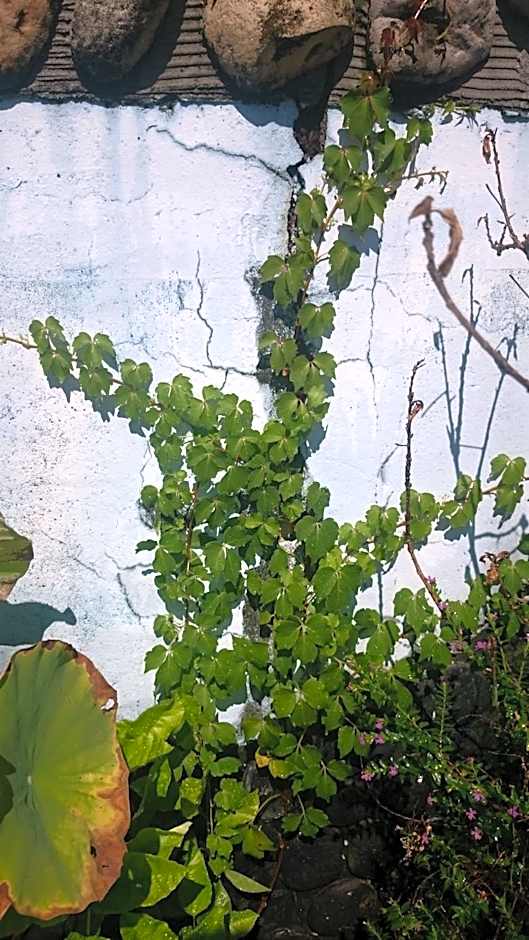 Yilan Real Fun Homestay