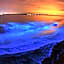 Punta Zicatela PXM