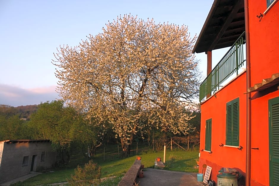 La Finestra sul Lago