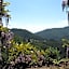 B&B I Glicini