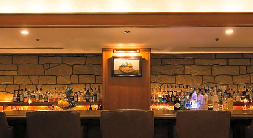 Fukuyama New Castle Hotel