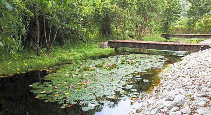 La Pari-Pari Langkawi