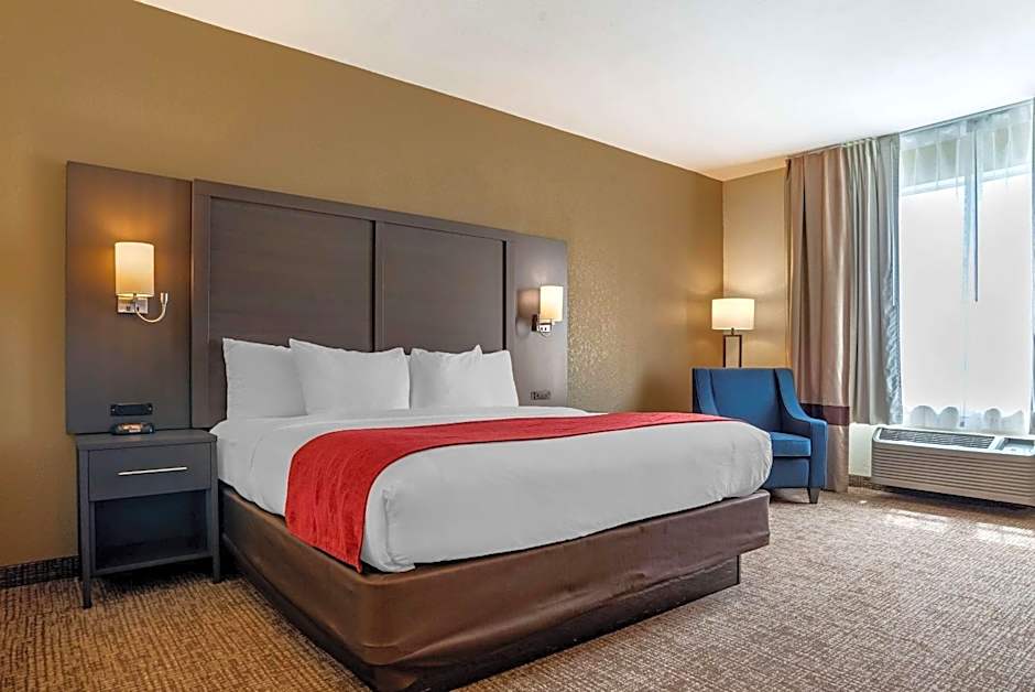 Comfort Inn & Suites Millbrook - Pratville