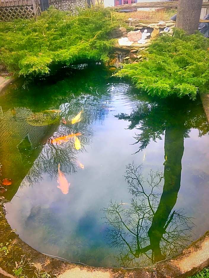 Blue Gables Bed and Breakfast