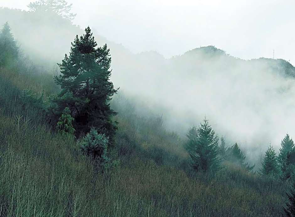 Athol Country Bed & Breakfast