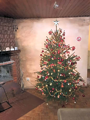 Triple Room with Christmas Package