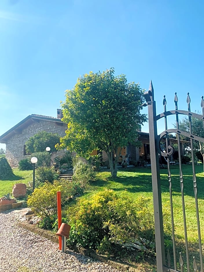 Bed & Breakfast Bellavista