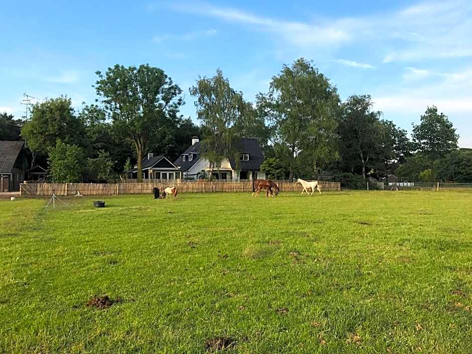 Bed & Breakfast de Zandhoef