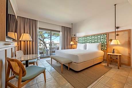Double Deluxe 1 King Bed Partial Sea View