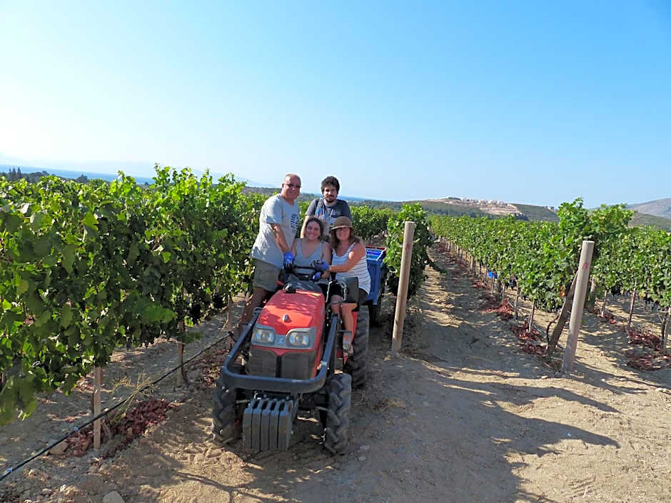 Datça Vineyard Guesthouse - Over 14 years old only