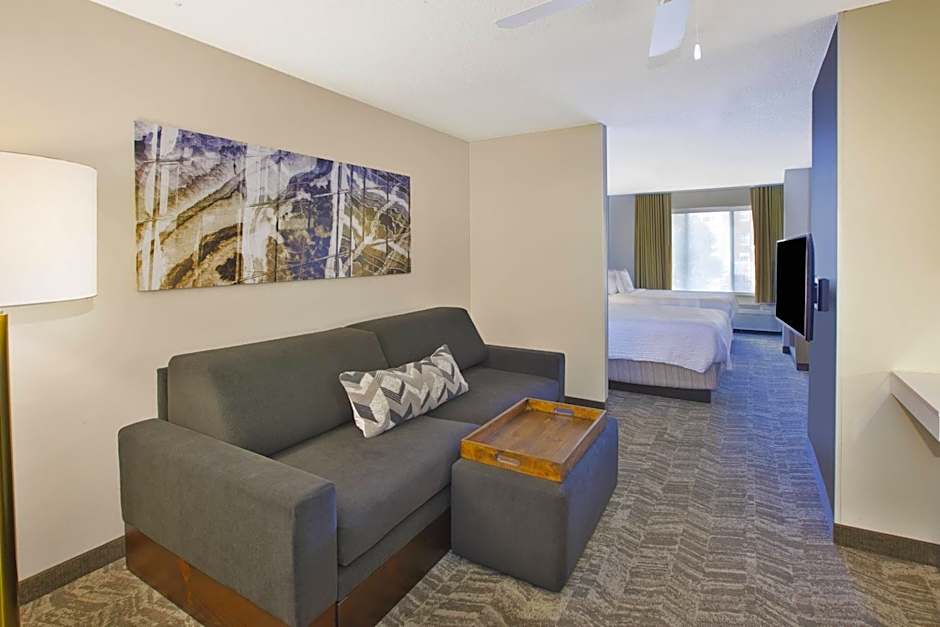 SpringHill Suites by Marriott Minneapolis-St. Paul Airport/Eagan