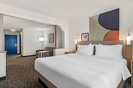 1 King Bed With Sofabed