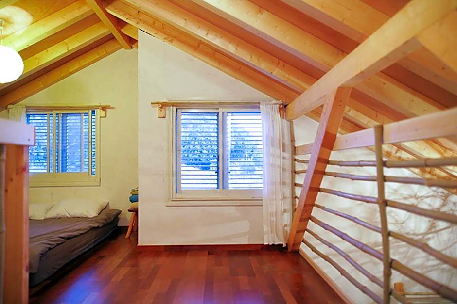 Blue House In The Woods- Amirim