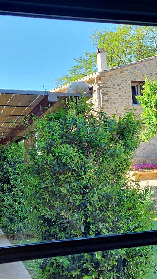 Mas Ferran Adults Only