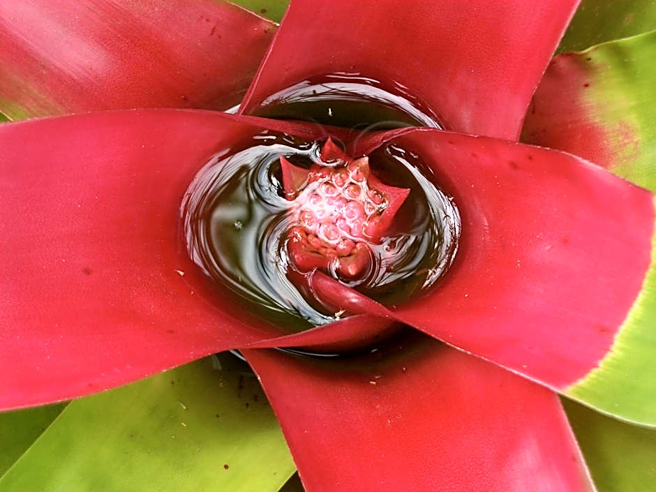 Pousada Oásis Ilha Grande