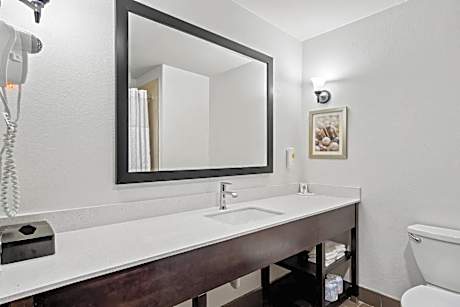 King Suite with Sofa Bed - Non-Smoking
