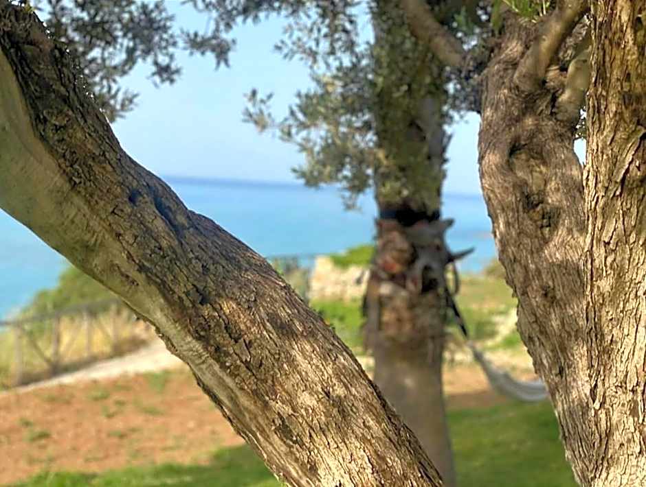 Case Vacanze Bellavista