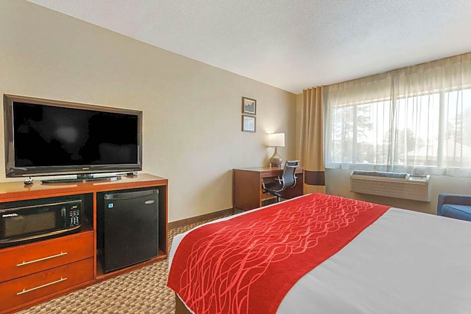 Comfort Inn Payson