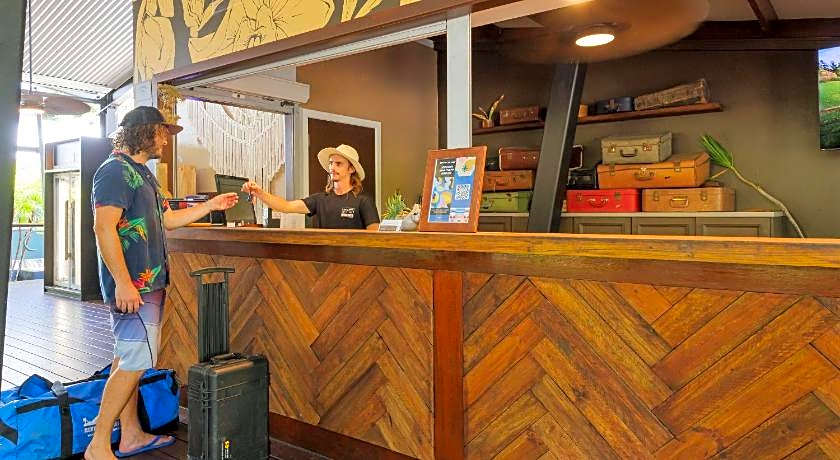 Koala Park by Bounce