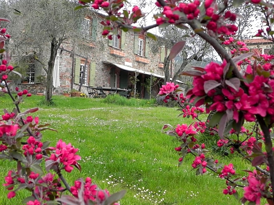 Il Giardino delle Esperidi