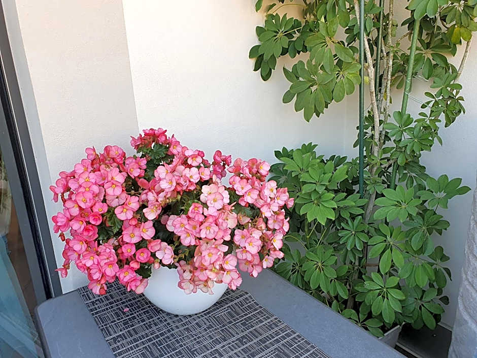 LUXUSAPPARTEMENT mitten in Leipzig Neueröffnung !