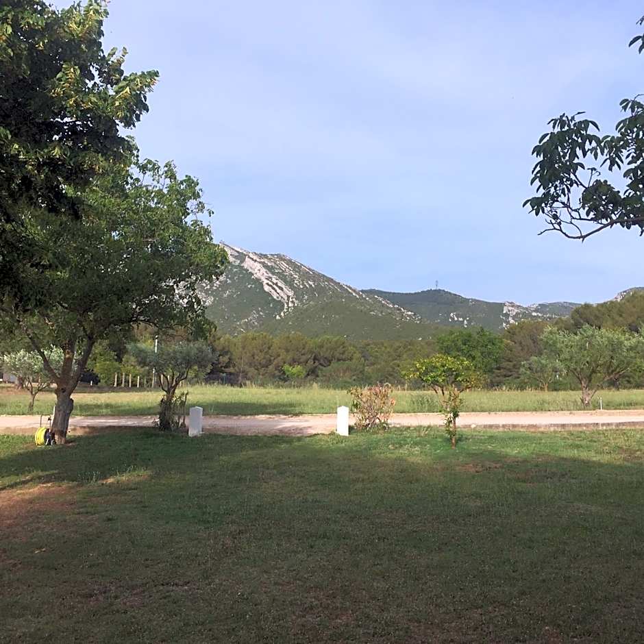 Sur les pas de Pagnol